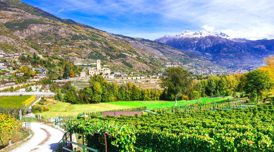 Naše zásoby zahrnují širokou škálu vozidel.